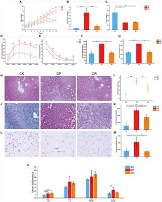 Gut microbiota affects obesity susceptibility in mice through gut metabolites